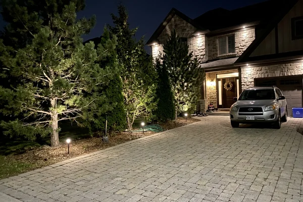 Uplit evergreens beside a Kleinburg driveway with soffit lights behind