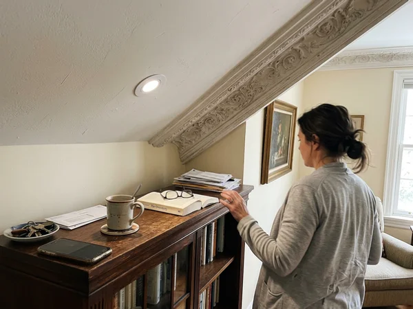 Century plaster ceiling in Rosedale with a new slim potlight